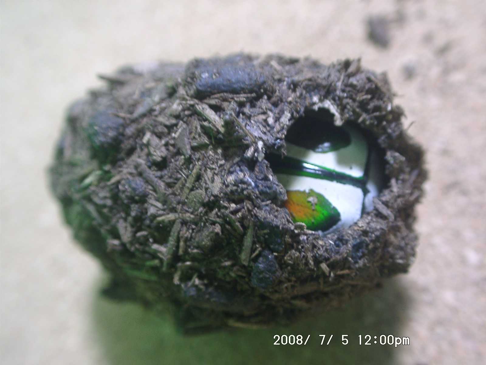 按此在新視窗瀏覽圖片