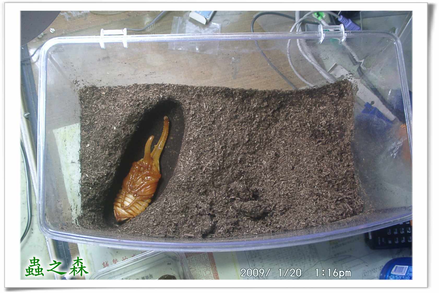 «ö¦¹¦b·sµøµ¡ÂsÄý¹Ï¤ù