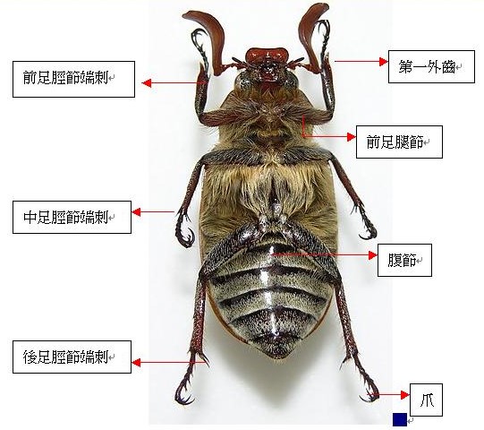 «ö¦¹¦b·sµøµ¡ÂsÄý¹Ï¤ù