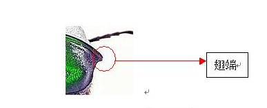 «ö¦¹¦b·sµøµ¡ÂsÄý¹Ï¤ù