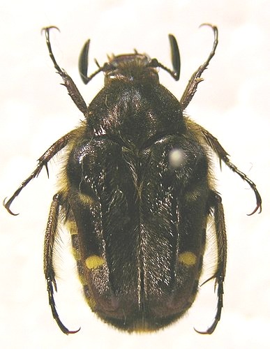 «ö¦¹¦b·sµøµ¡ÂsÄý¹Ï¤ù