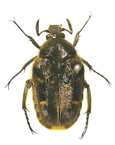 «ö¦¹¦b·sµøµ¡ÂsÄý¹Ï¤ù