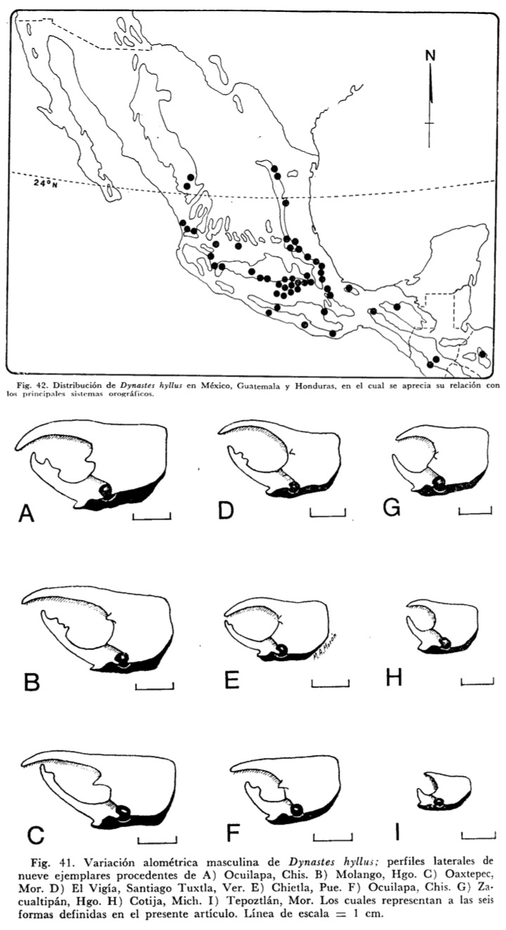 «ö¦¹¦b·sµøµ¡ÂsÄý¹Ï¤ù