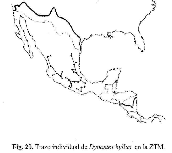 «ö¦¹¦b·sµøµ¡ÂsÄý¹Ï¤ù