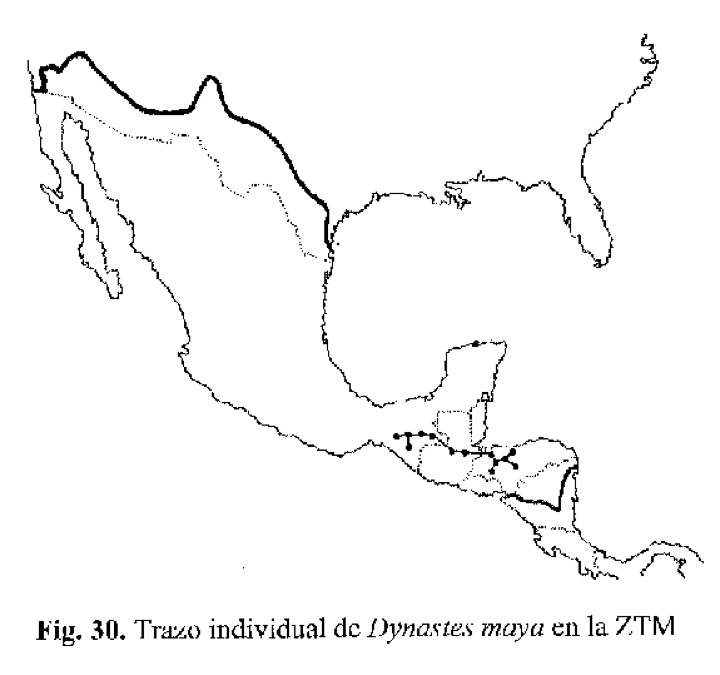 «ö¦¹¦b·sµøµ¡ÂsÄý¹Ï¤ù