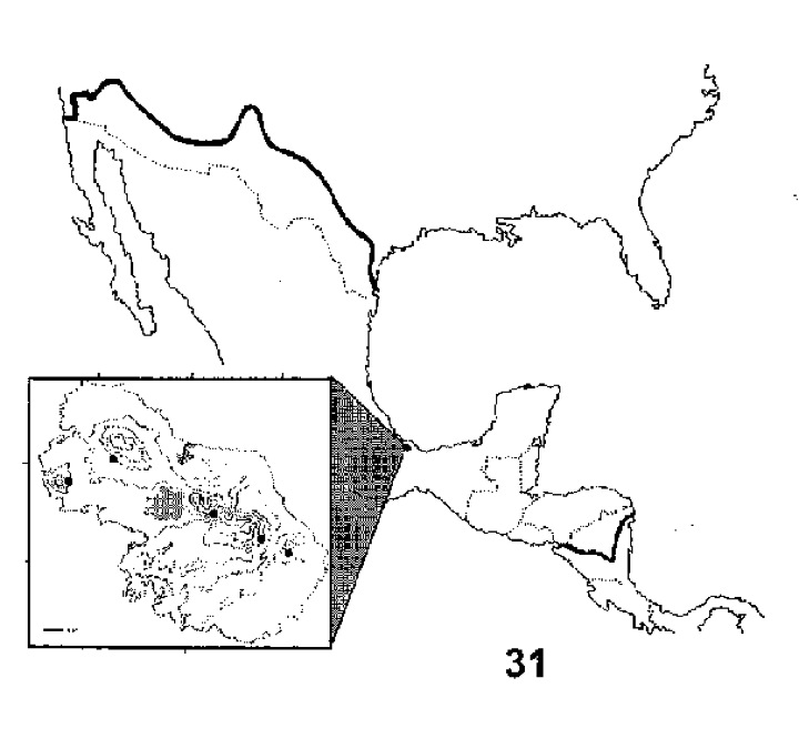 «ö¦¹¦b·sµøµ¡ÂsÄý¹Ï¤ù