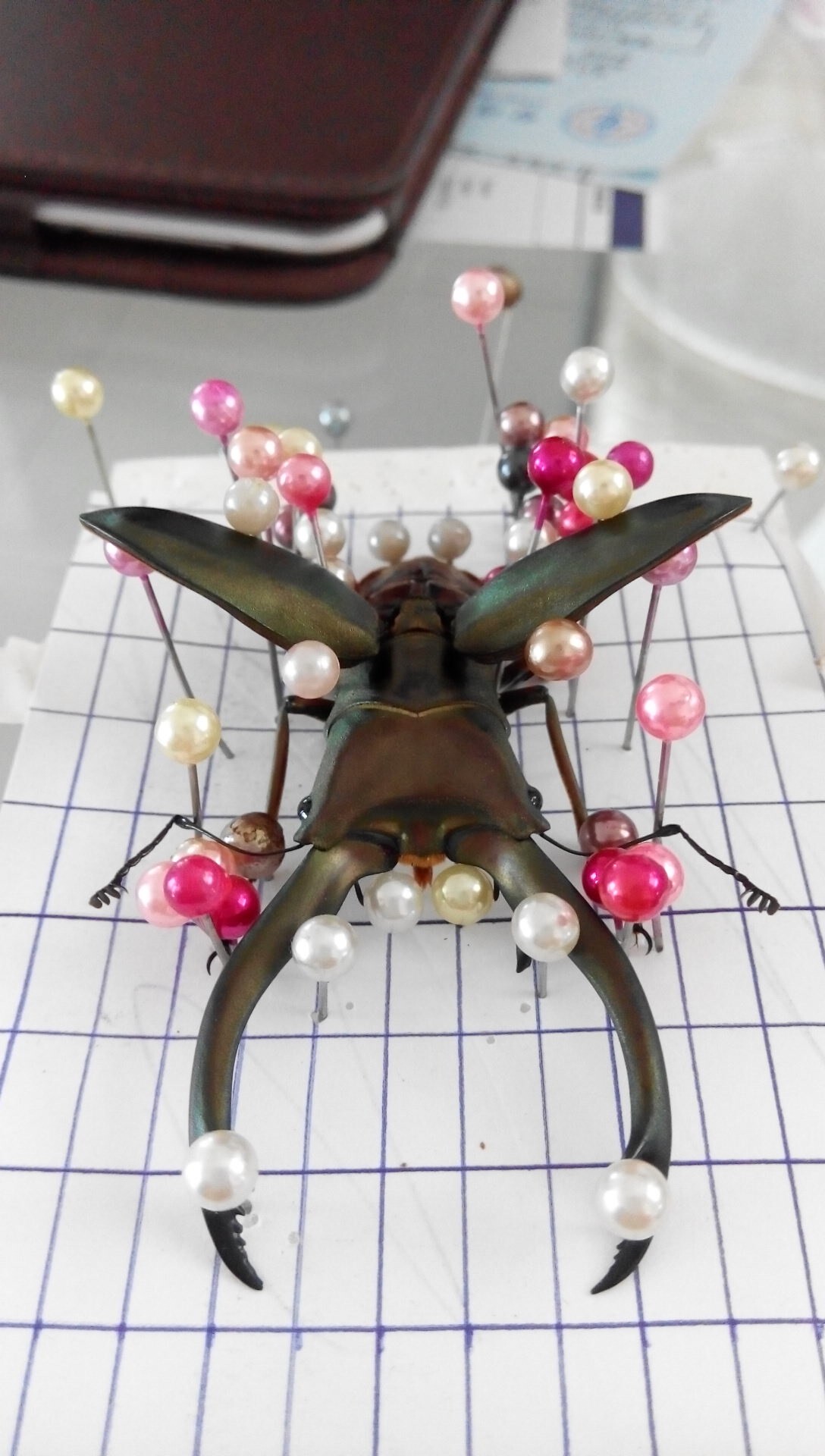 按此在新視窗瀏覽圖片