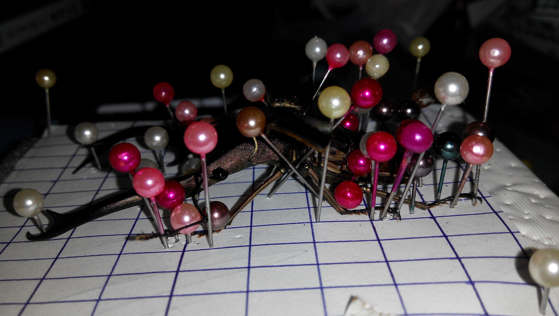 按此在新視窗瀏覽圖片