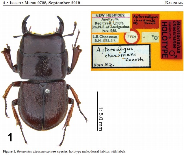 «ö¦¹¦b·sµøµ¡ÂsÄý¹Ï¤ù