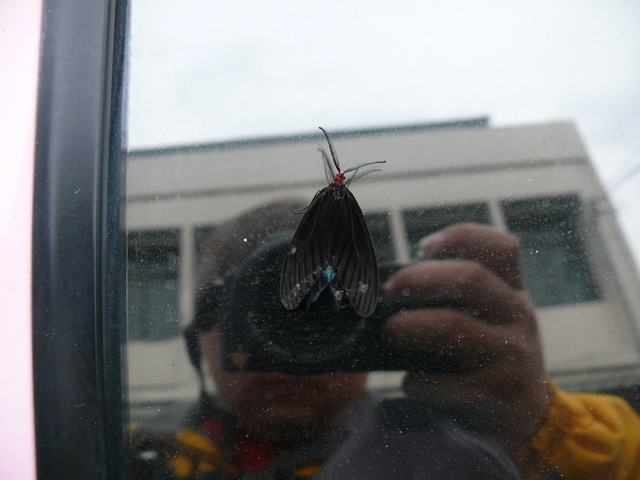 按此在新視窗瀏覽圖片