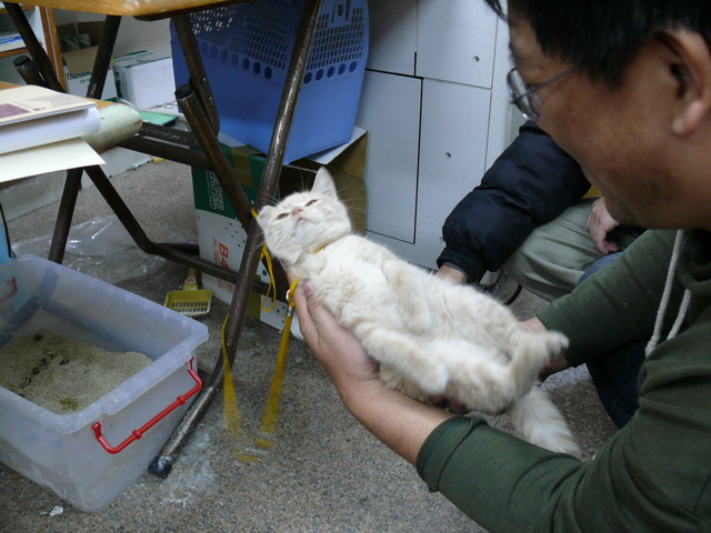 按此在新視窗瀏覽圖片