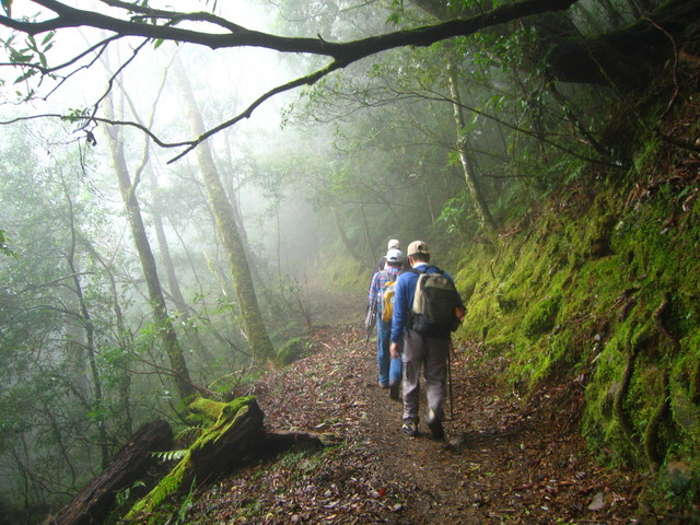 按此在新視窗瀏覽圖片
