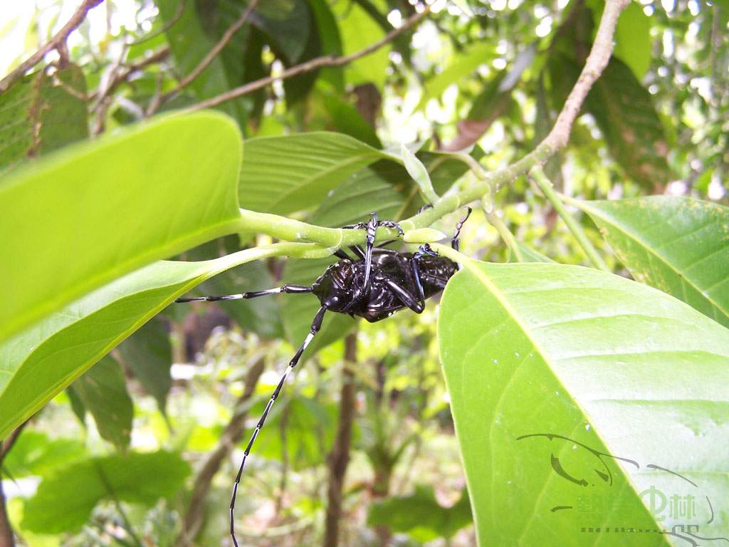 按此在新視窗瀏覽圖片