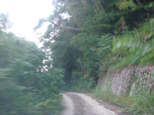 按此在新視窗瀏覽圖片