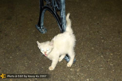 «ö¦¹¦b·sµøµ¡ÂsÄý¹Ï¤ù