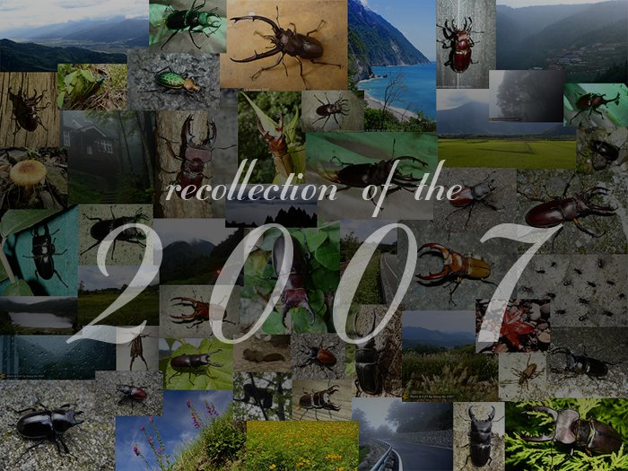 «ö¦¹¦b·sµøµ¡ÂsÄý¹Ï¤ù