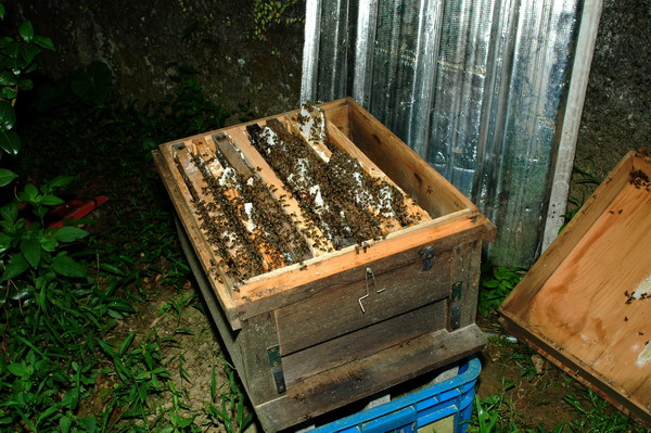 按此在新視窗瀏覽圖片