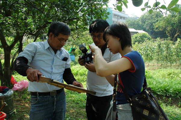 按此在新視窗瀏覽圖片