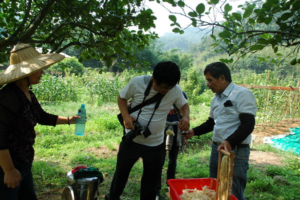 按此在新視窗瀏覽圖片