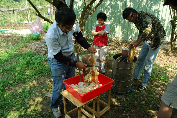 按此在新視窗瀏覽圖片
