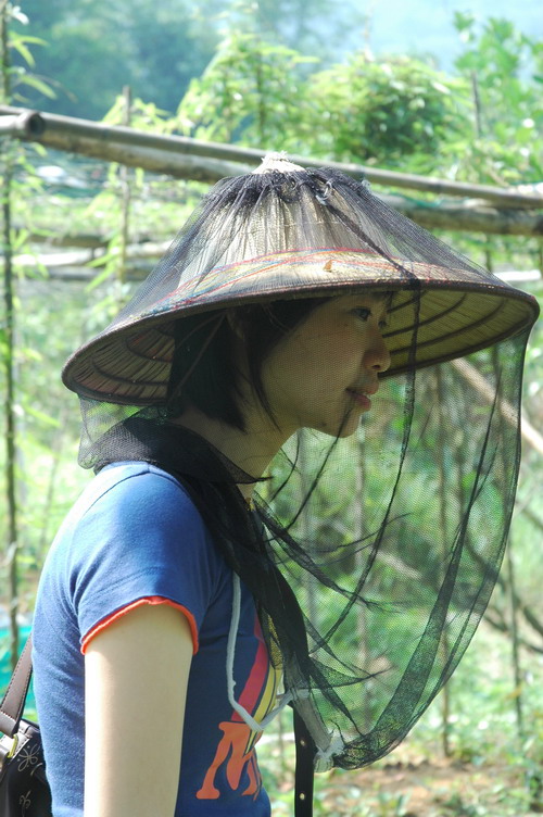 按此在新視窗瀏覽圖片