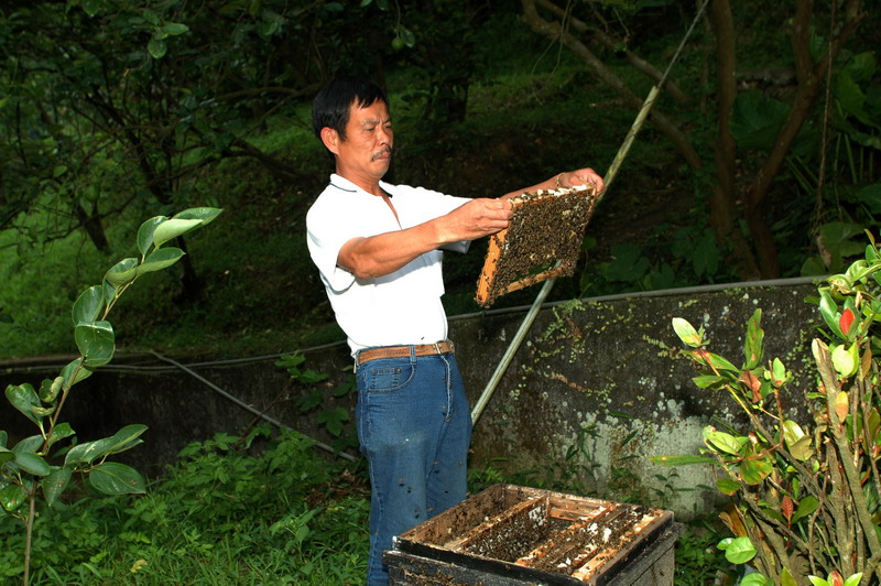 按此在新視窗瀏覽圖片