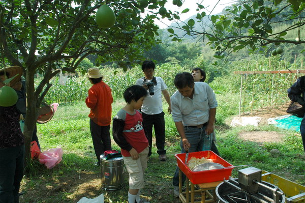 按此在新視窗瀏覽圖片
