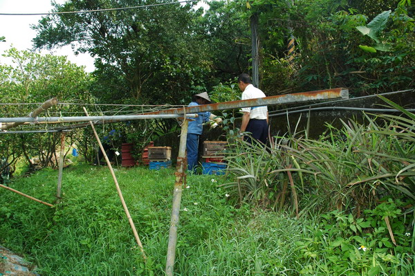 按此在新視窗瀏覽圖片