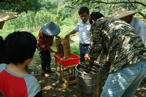 按此在新視窗瀏覽圖片
