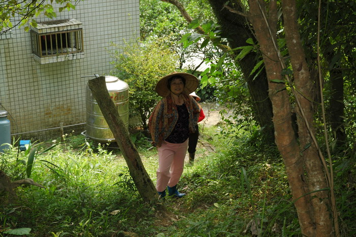 按此在新視窗瀏覽圖片