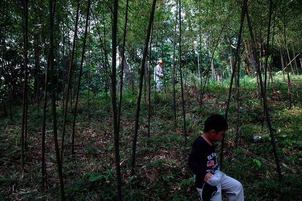 按此在新視窗瀏覽圖片