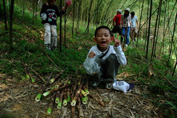按此在新視窗瀏覽圖片