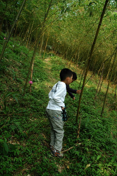 按此在新視窗瀏覽圖片