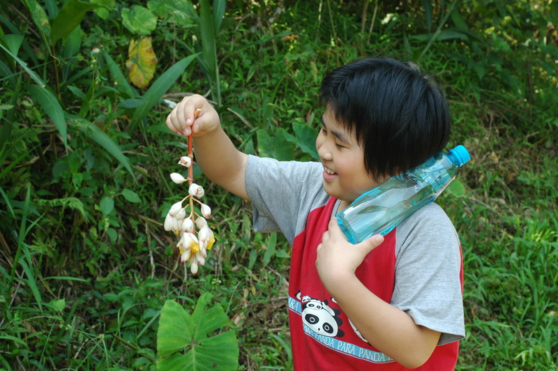 按此在新視窗瀏覽圖片