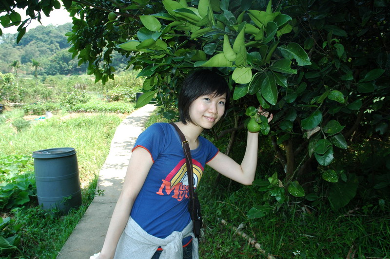 按此在新視窗瀏覽圖片