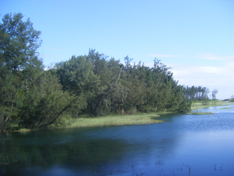 «ö¦¹¦b·sµøµ¡ÂsÄý¹Ï¤ù