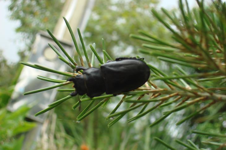 «ö¦¹¦b·sµøµ¡ÂsÄý¹Ï¤ù