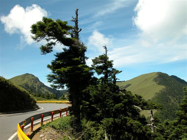 按此在新視窗瀏覽圖片