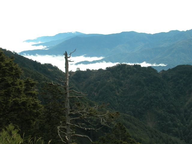 按此在新視窗瀏覽圖片