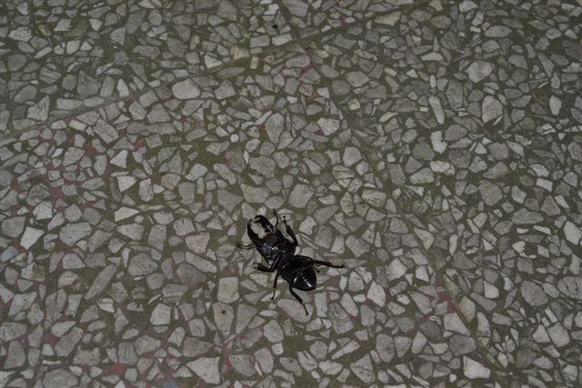 «ö¦¹¦b·sµøµ¡ÂsÄý¹Ï¤ù