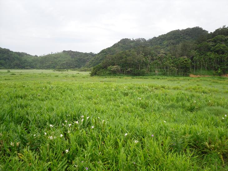 按此在新視窗瀏覽圖片