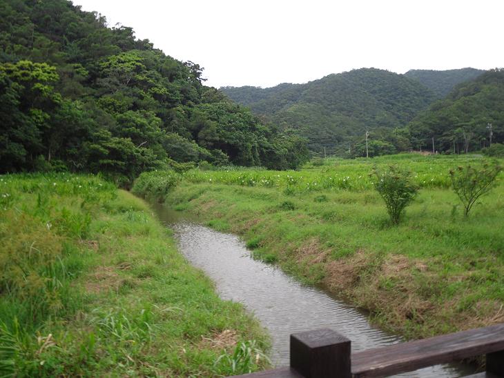 按此在新視窗瀏覽圖片