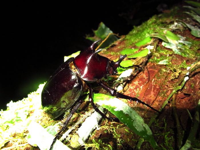 按此在新視窗瀏覽圖片