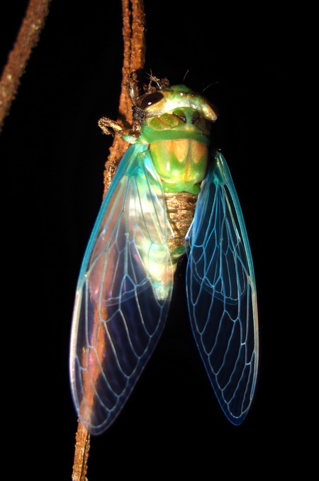 按此在新視窗瀏覽圖片