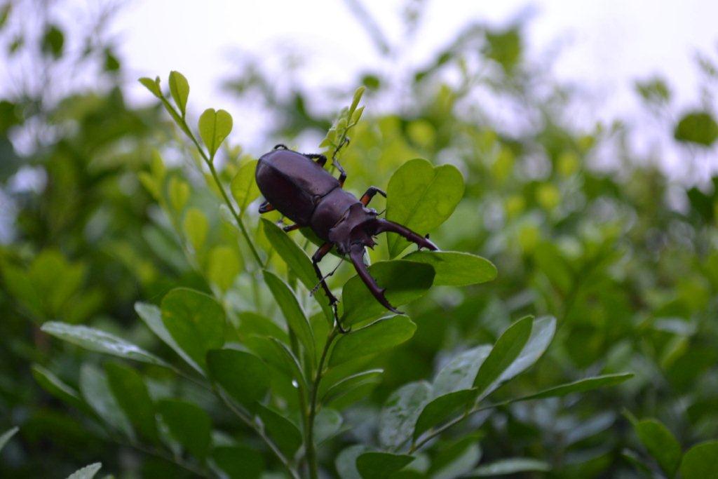 «ö¦¹¦b·sµøµ¡ÂsÄý¹Ï¤ù