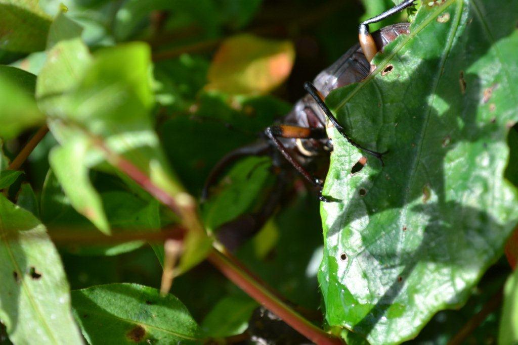 «ö¦¹¦b·sµøµ¡ÂsÄý¹Ï¤ù