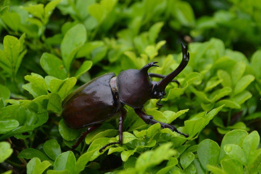 «ö¦¹¦b·sµøµ¡ÂsÄý¹Ï¤ù