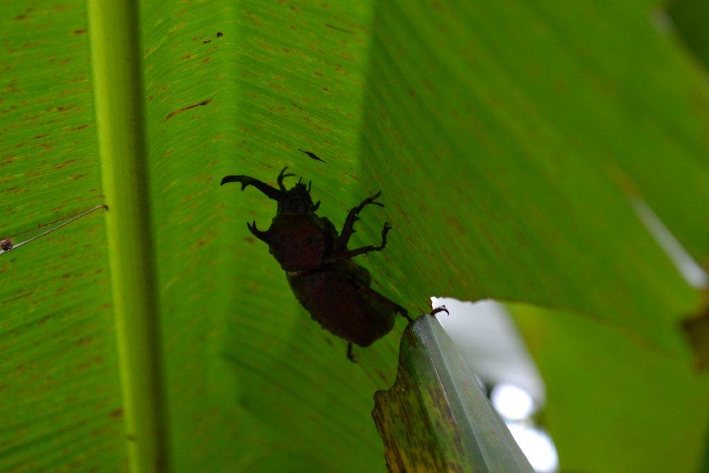 «ö¦¹¦b·sµøµ¡ÂsÄý¹Ï¤ù