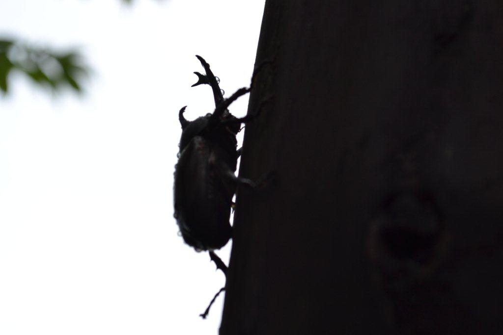 «ö¦¹¦b·sµøµ¡ÂsÄý¹Ï¤ù