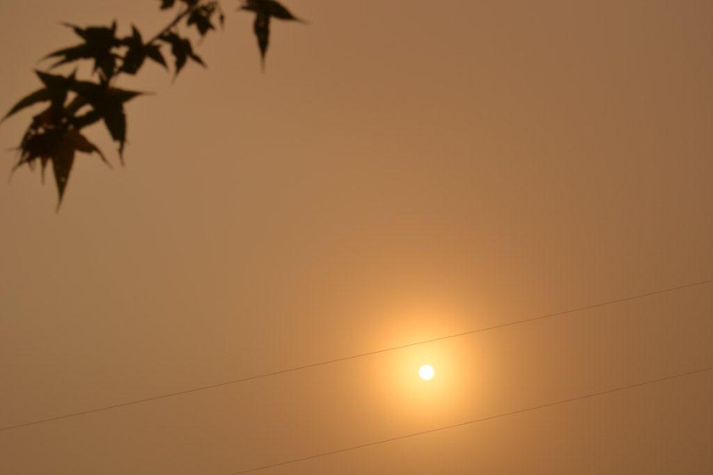 «ö¦¹¦b·sµøµ¡ÂsÄý¹Ï¤ù